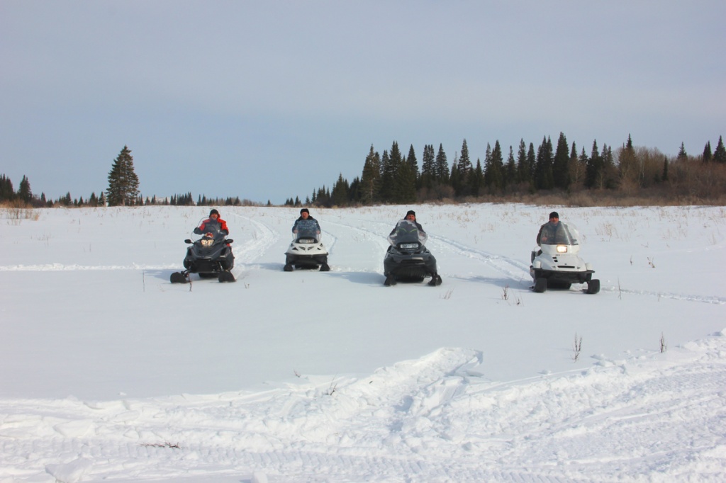 IMG_1176.jpg IMG_1176.jpg