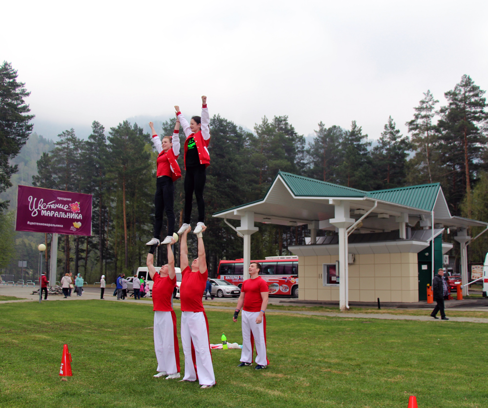 IMG_5155.jpg IMG_5155.jpg
