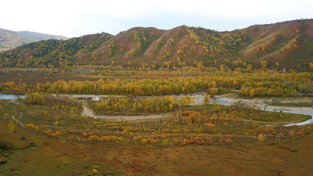DJI_0561.jpg DJI_0561.jpg