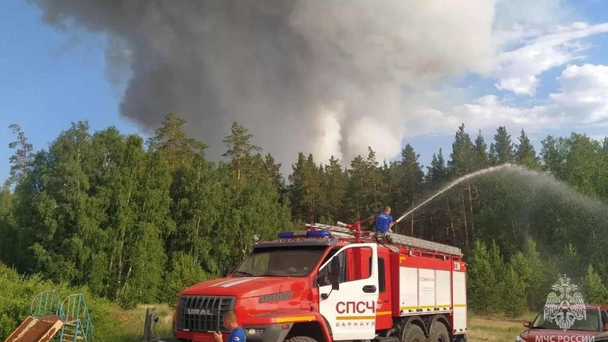 В Егорьевском районе локализовали масштабный лесной пожар