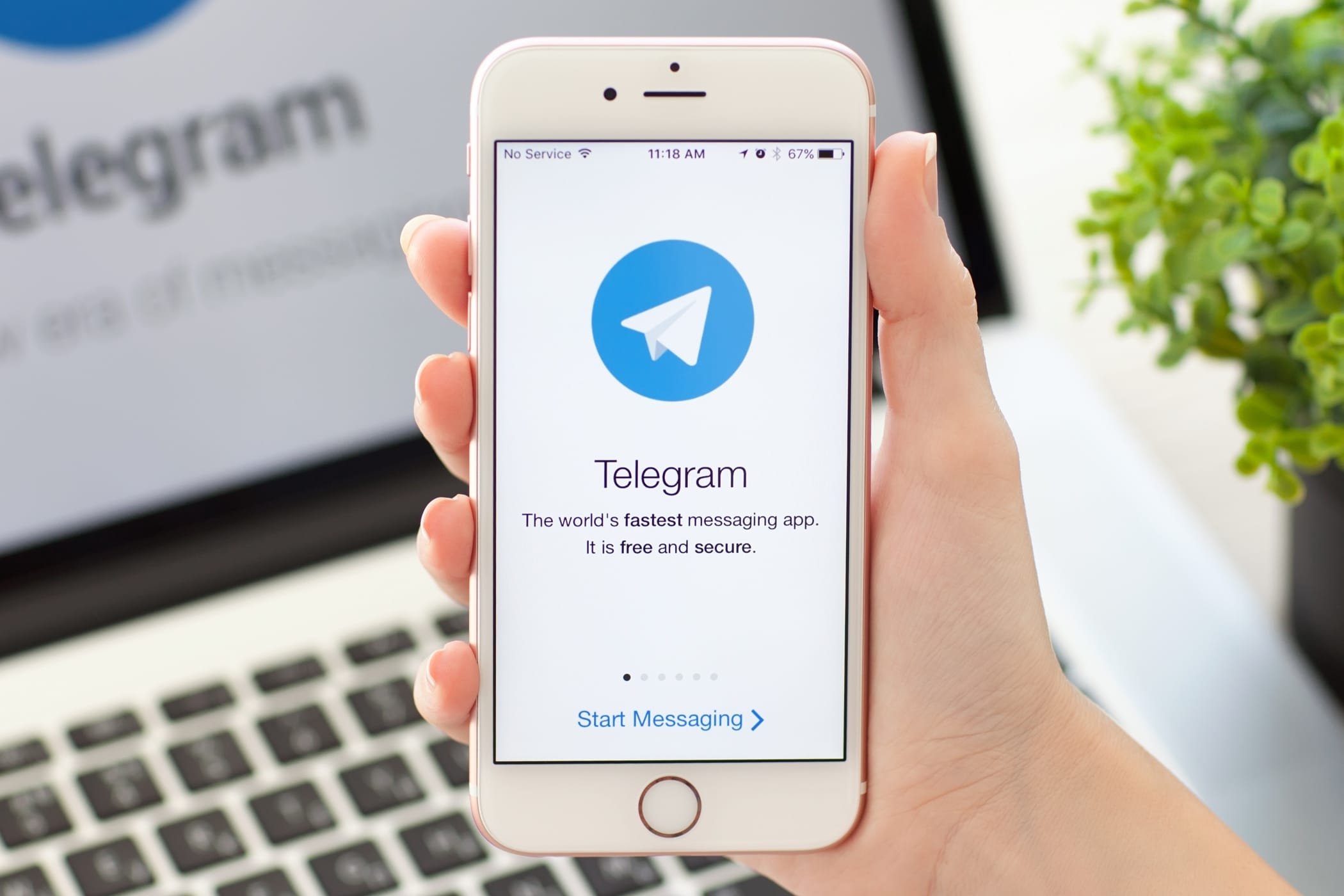 Объясняем.рф - Telegram-каналы, которым можно доверять