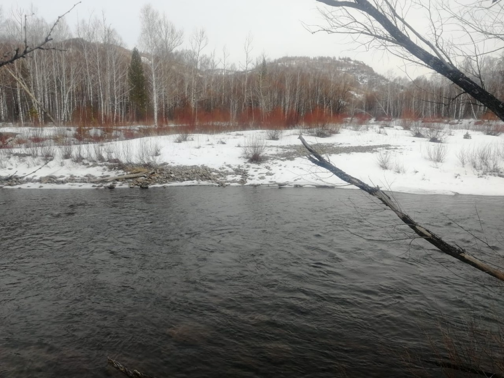 WhatsApp Image 2020-03-17 at 01.07.17.jpeg