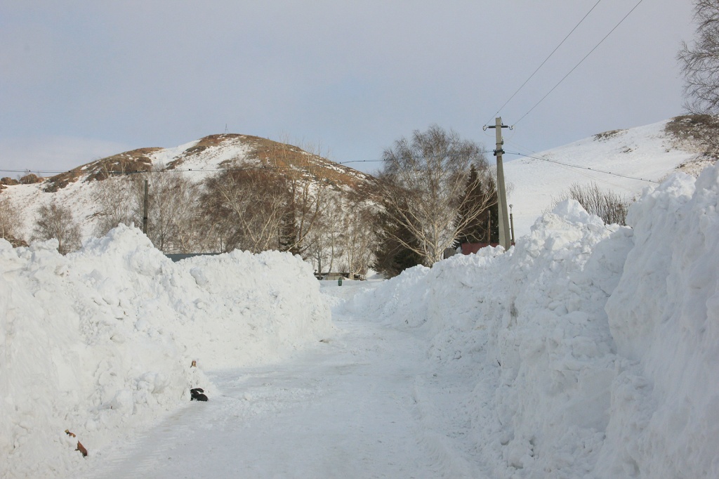 горняков.jpg горняков.jpg