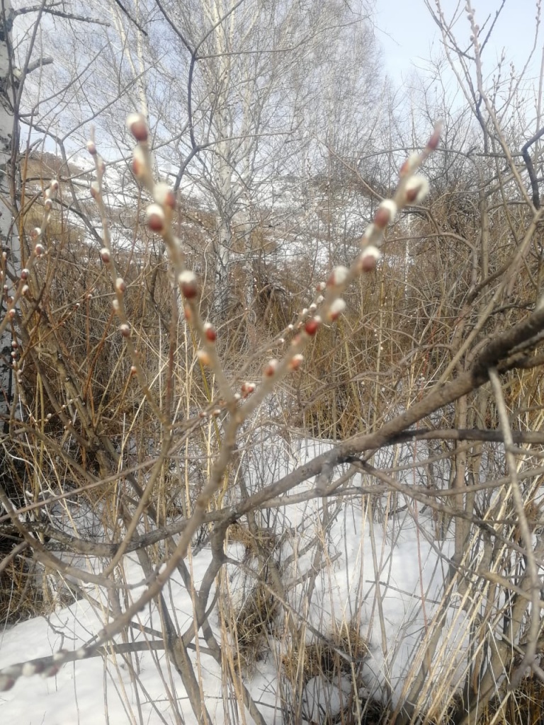 WhatsApp Image 2020-03-17 at 01.07.33.jpeg