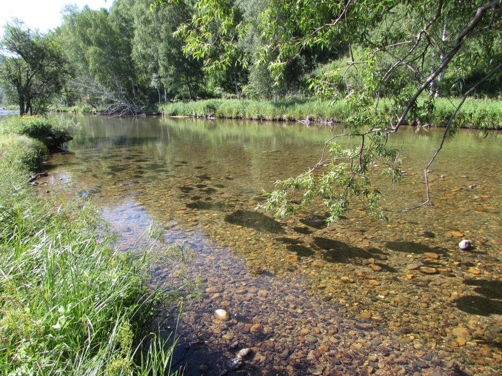 Река Большой Тигирек близ устья.JPG