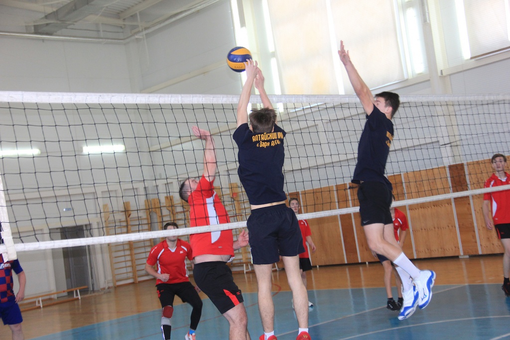 IMG_5446.jpg IMG_5446.jpg