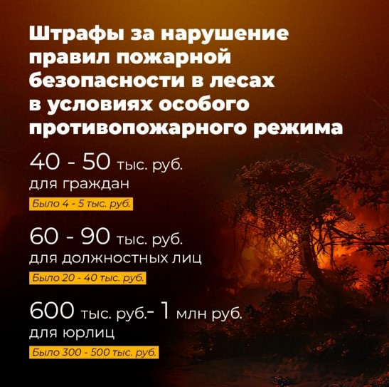 4444.jpg 4444.jpg