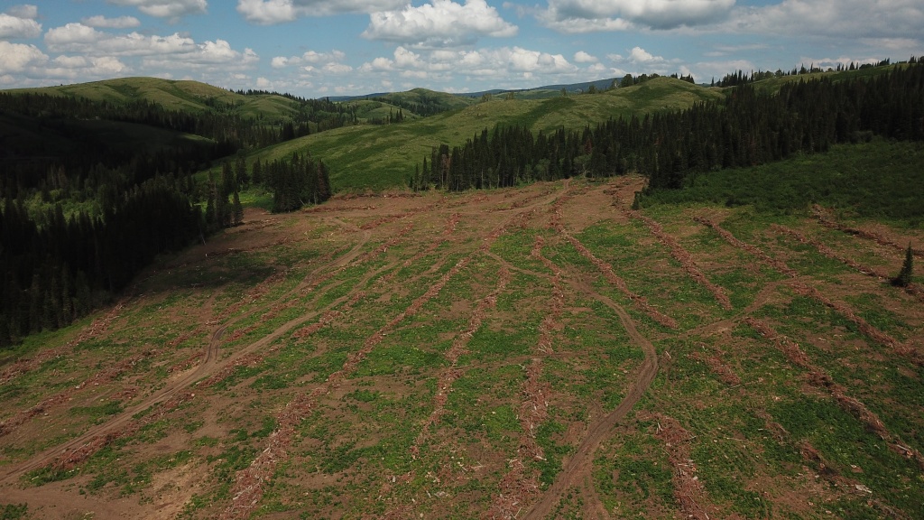 DJI_0151.JPG