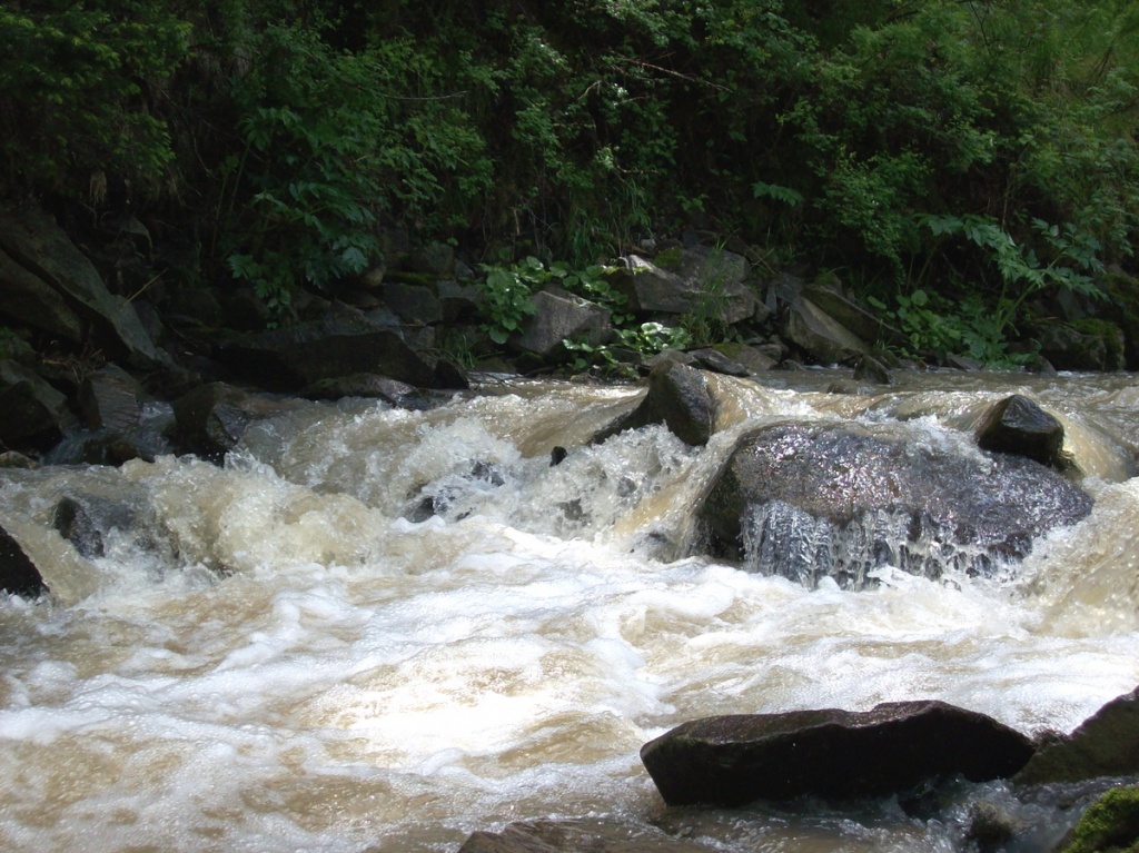 Река Глухариха.jpg