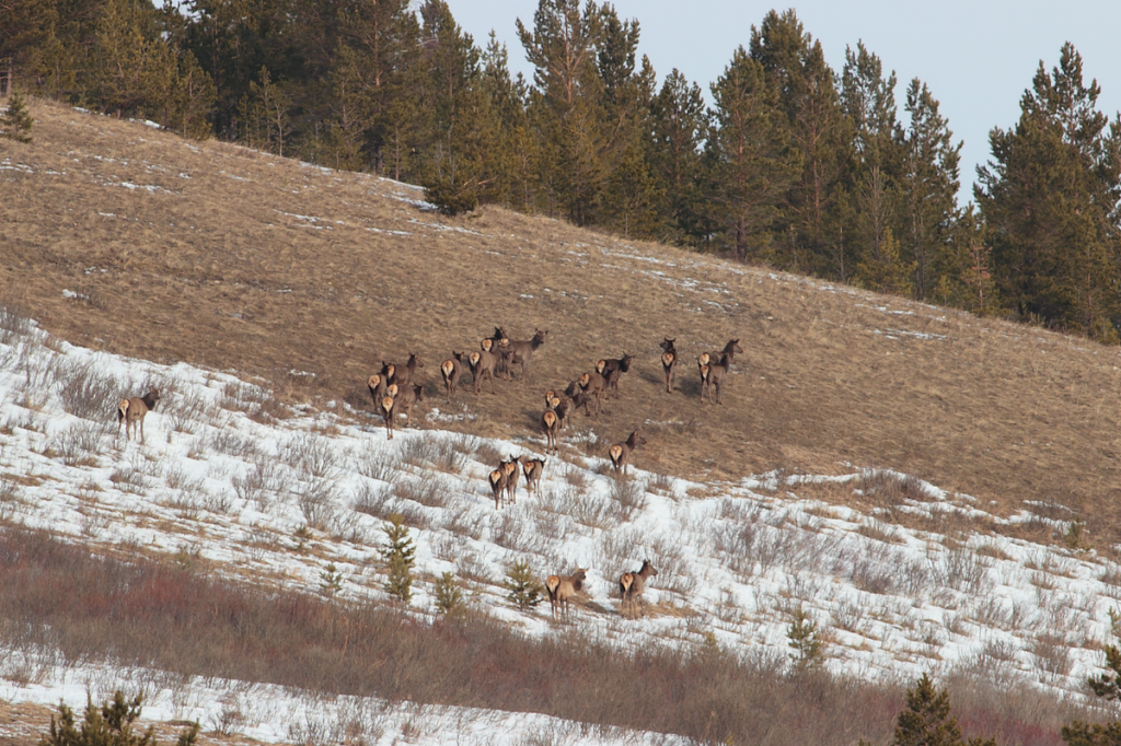 Агафотнова С (38).png