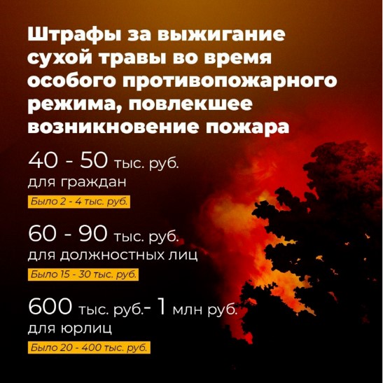 2222.jpg 2222.jpg