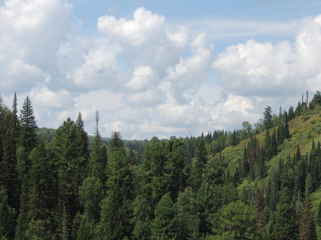 Замков С (5).JPG