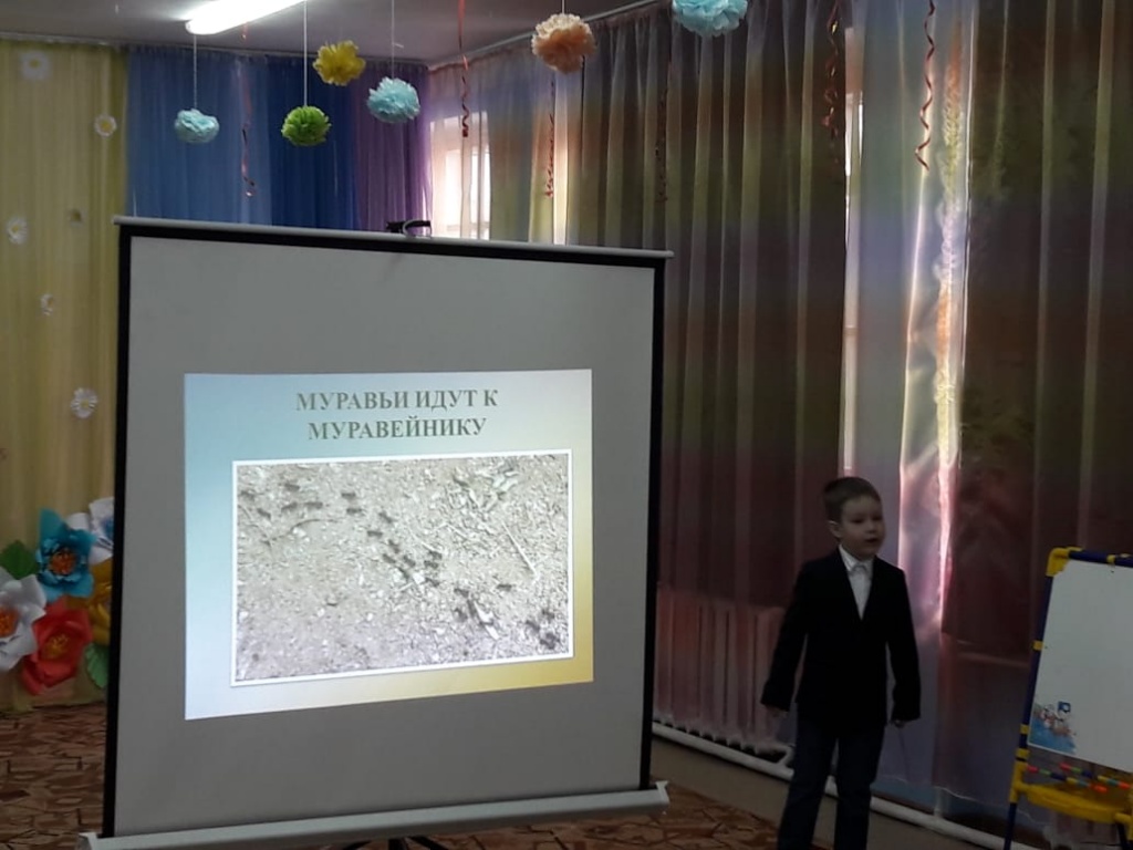 IMG-20190314-WA0007.jpg IMG-20190314-WA0007.jpg