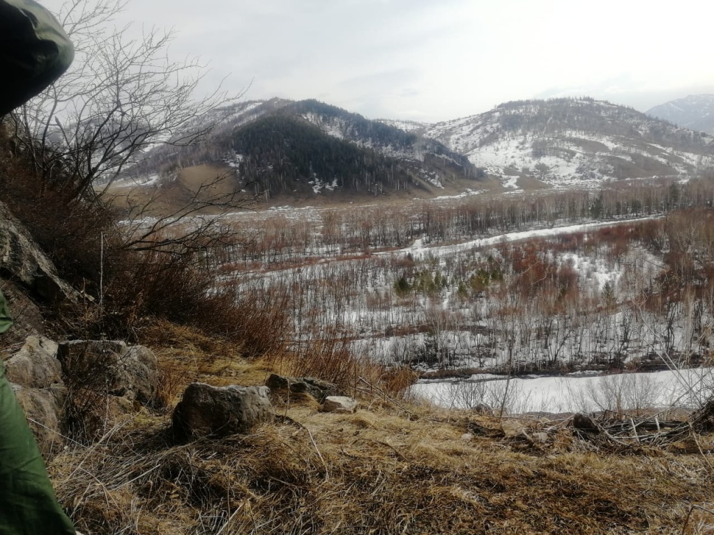 WhatsApp Image 2020-03-17 at 01.07.36.jpeg