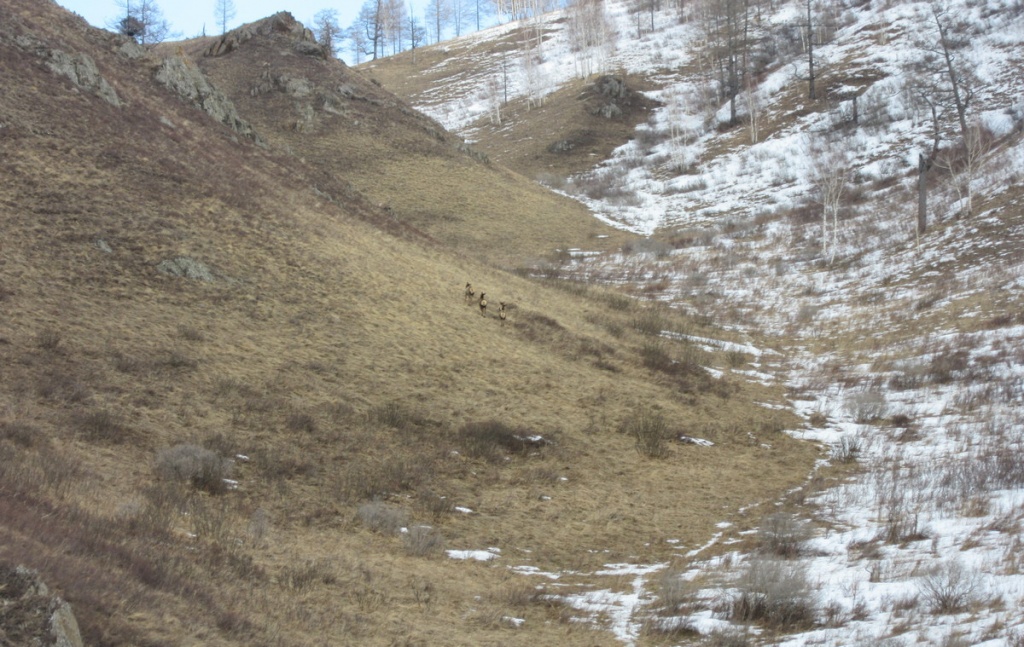 Слукин А (12).JPG