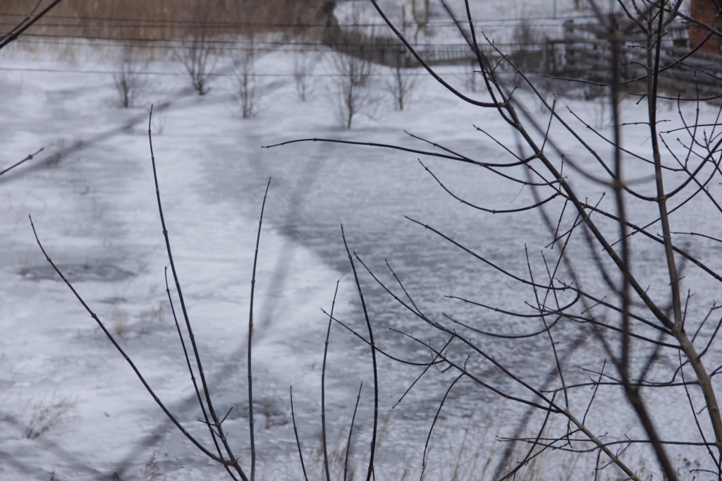 _MG_4867.JPG