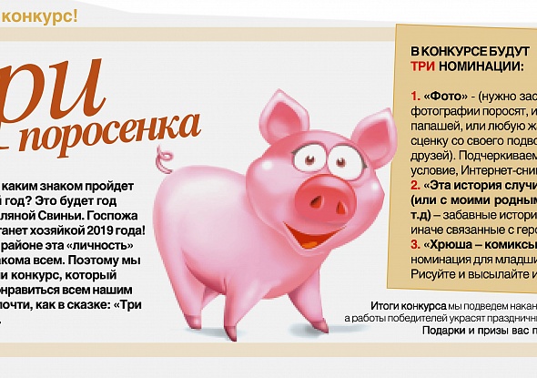 Стих про свинью